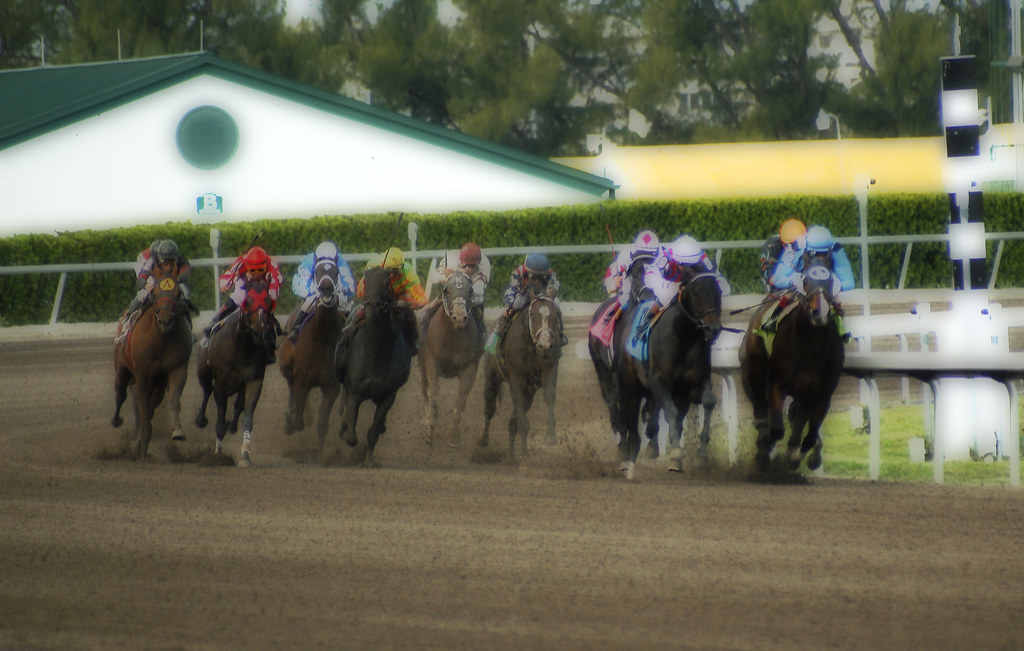 Gulfstream Park Race 