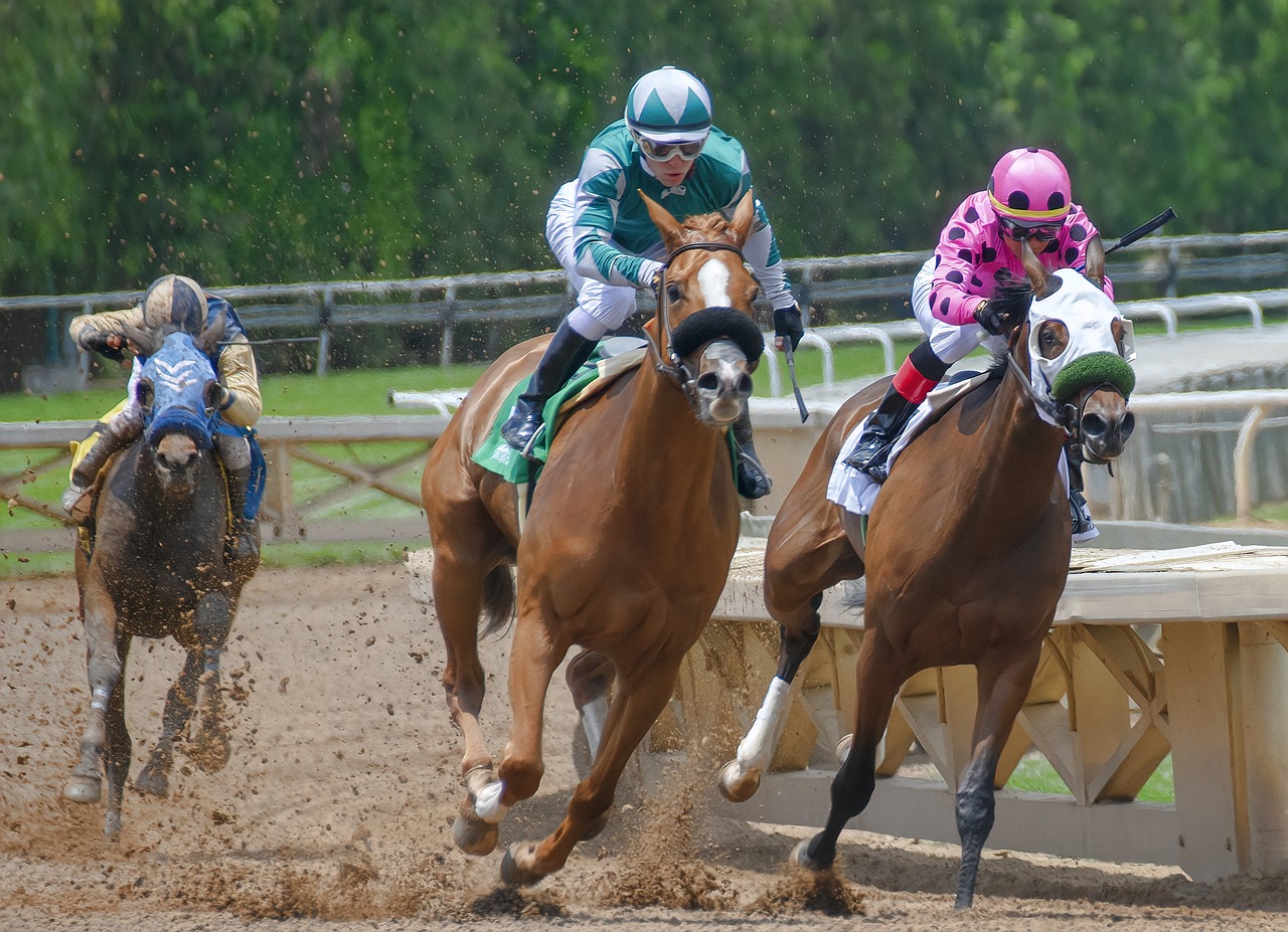 Horse Racing Tips