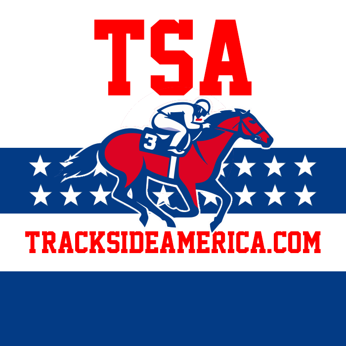 Kentucky Derby Horse "Sierra Leone"